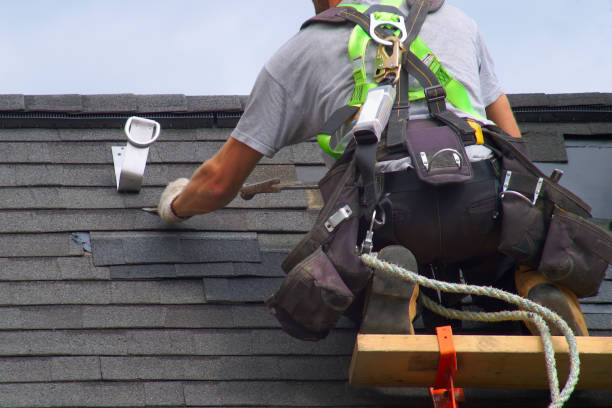 Best Roof Maintenance Services  in Whitmore Lake, MI