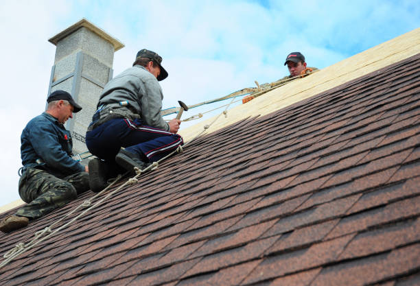 Best Flat Roof Repair Services  in Whitmore Lake, MI